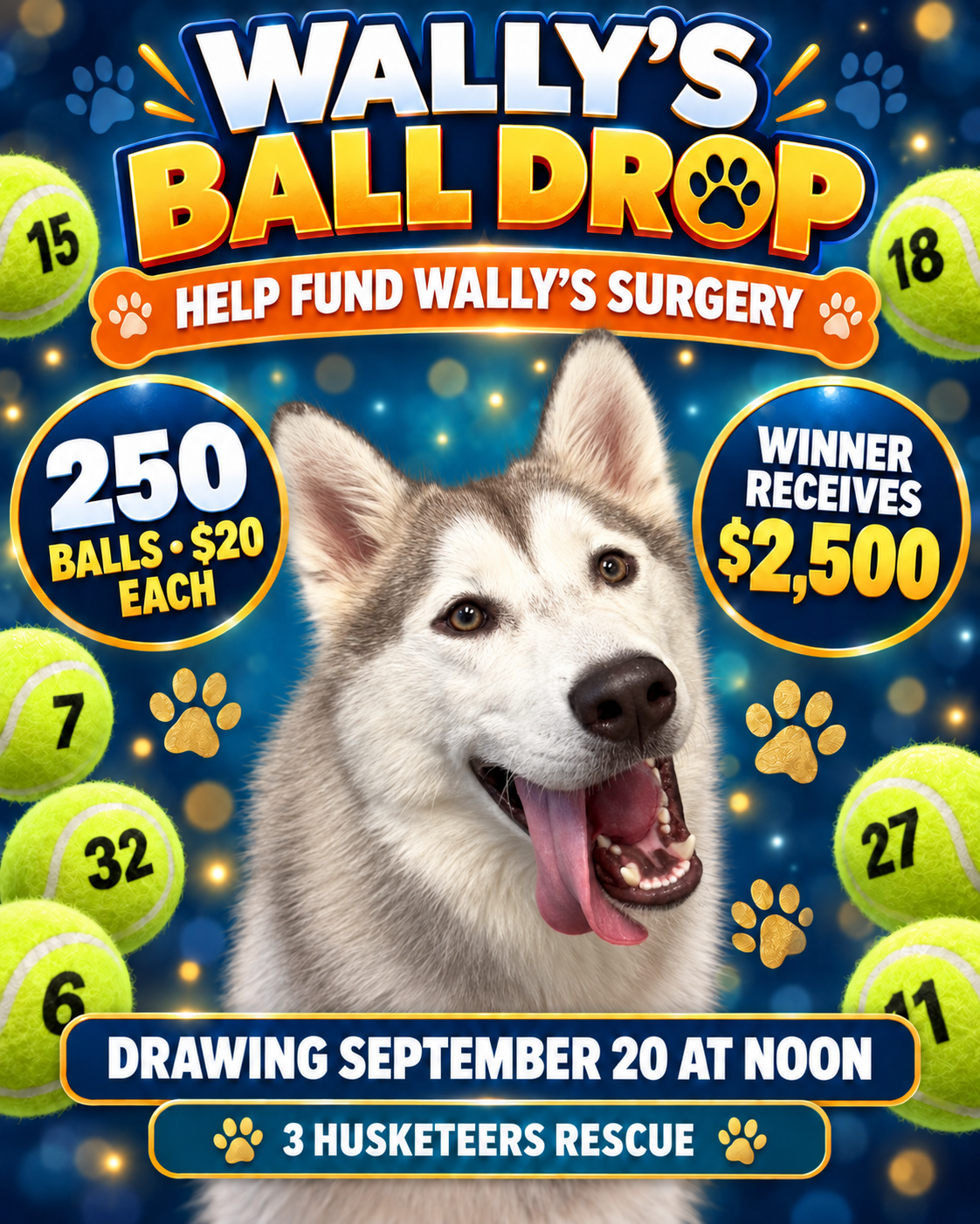 Wally VRC Ball Drop 🎾