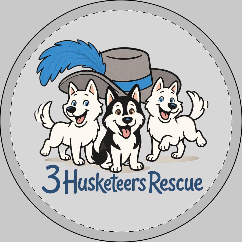 Logo Car Magnet